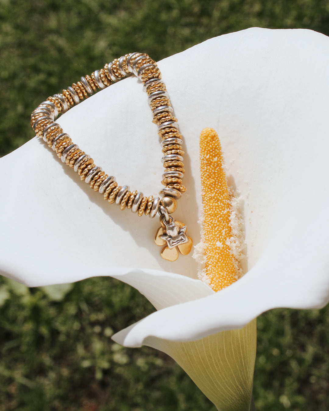 Bracelet Sirio