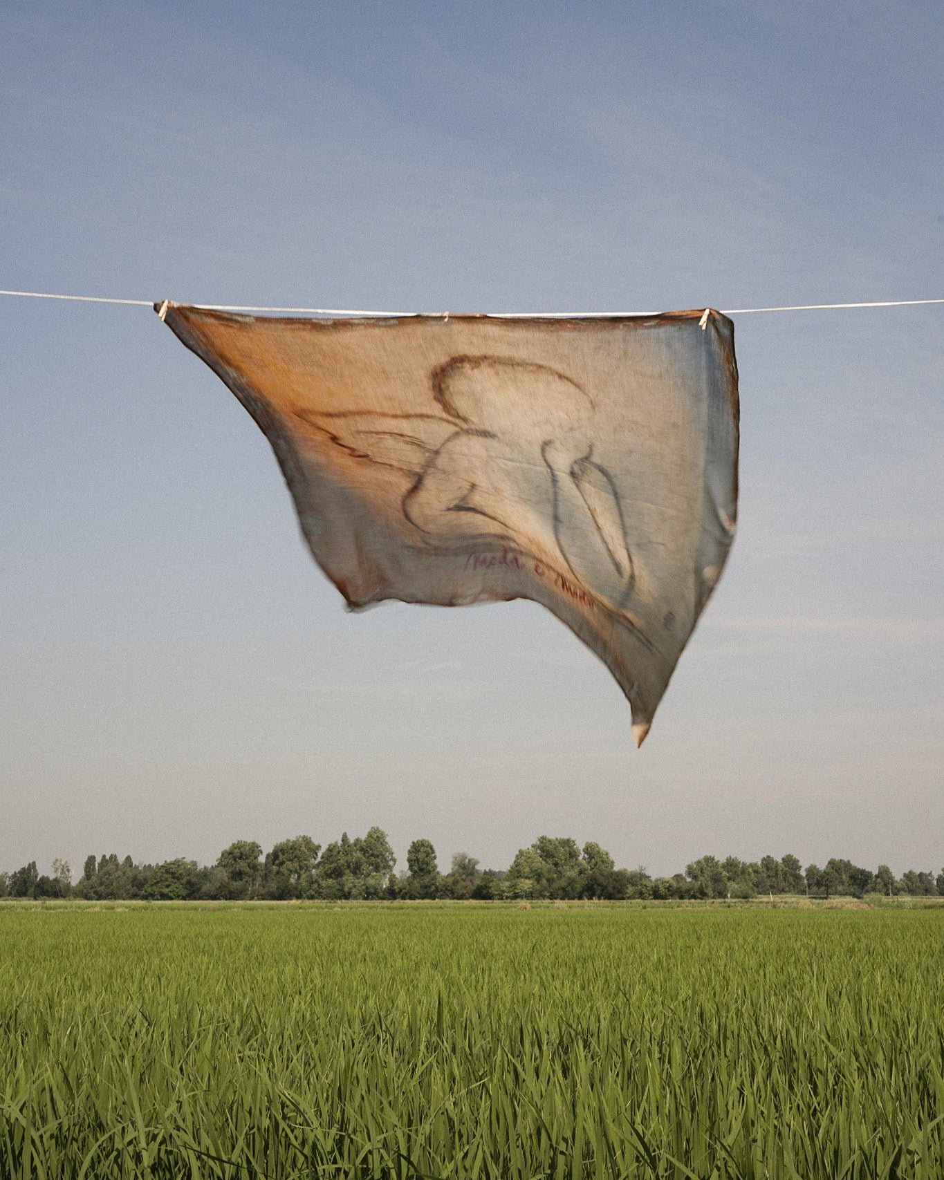 Shawl Angel Beige Small