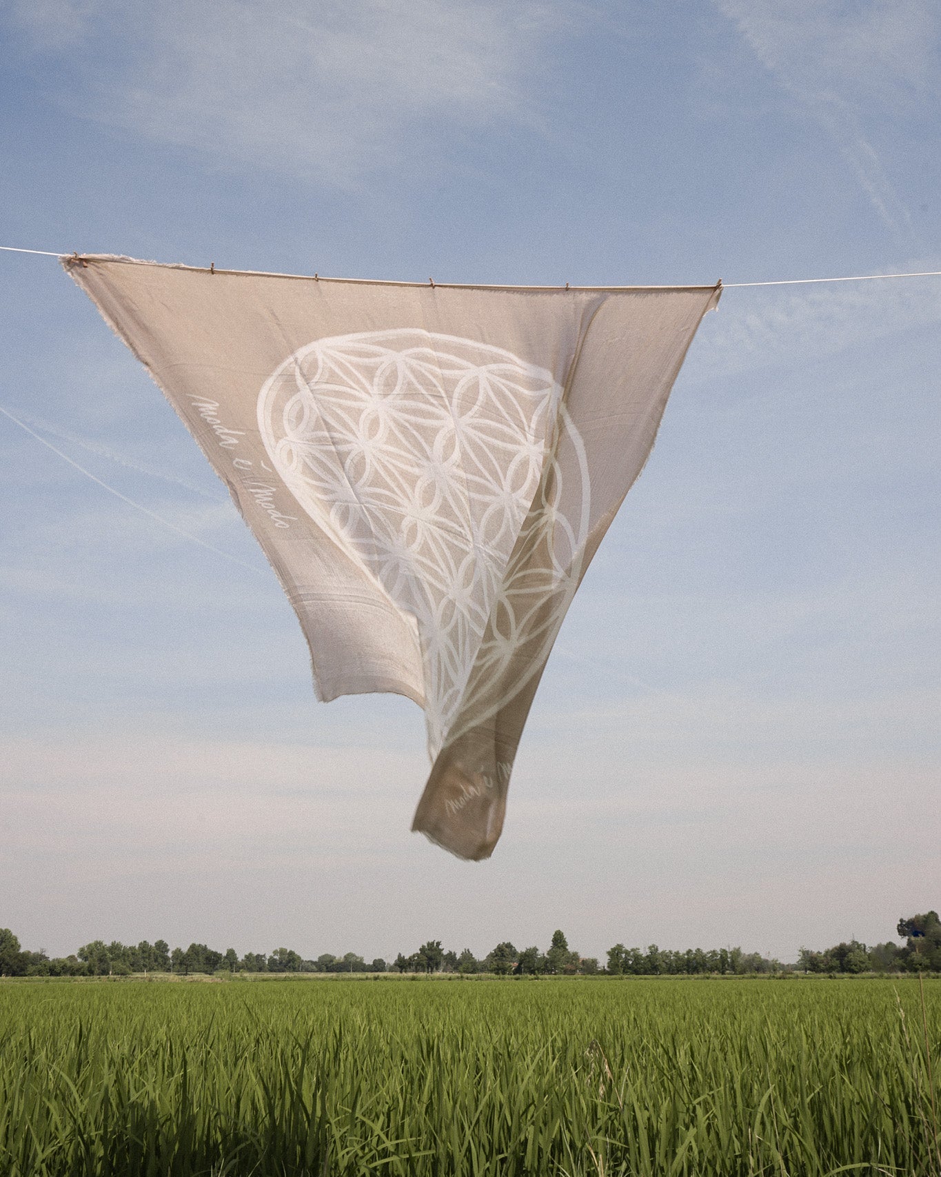 Shawl Fiore della Vita Beige