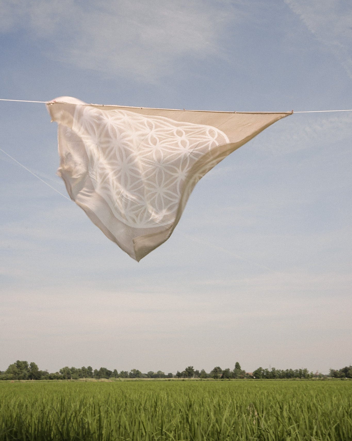 Schal Fiore della Vita Beige