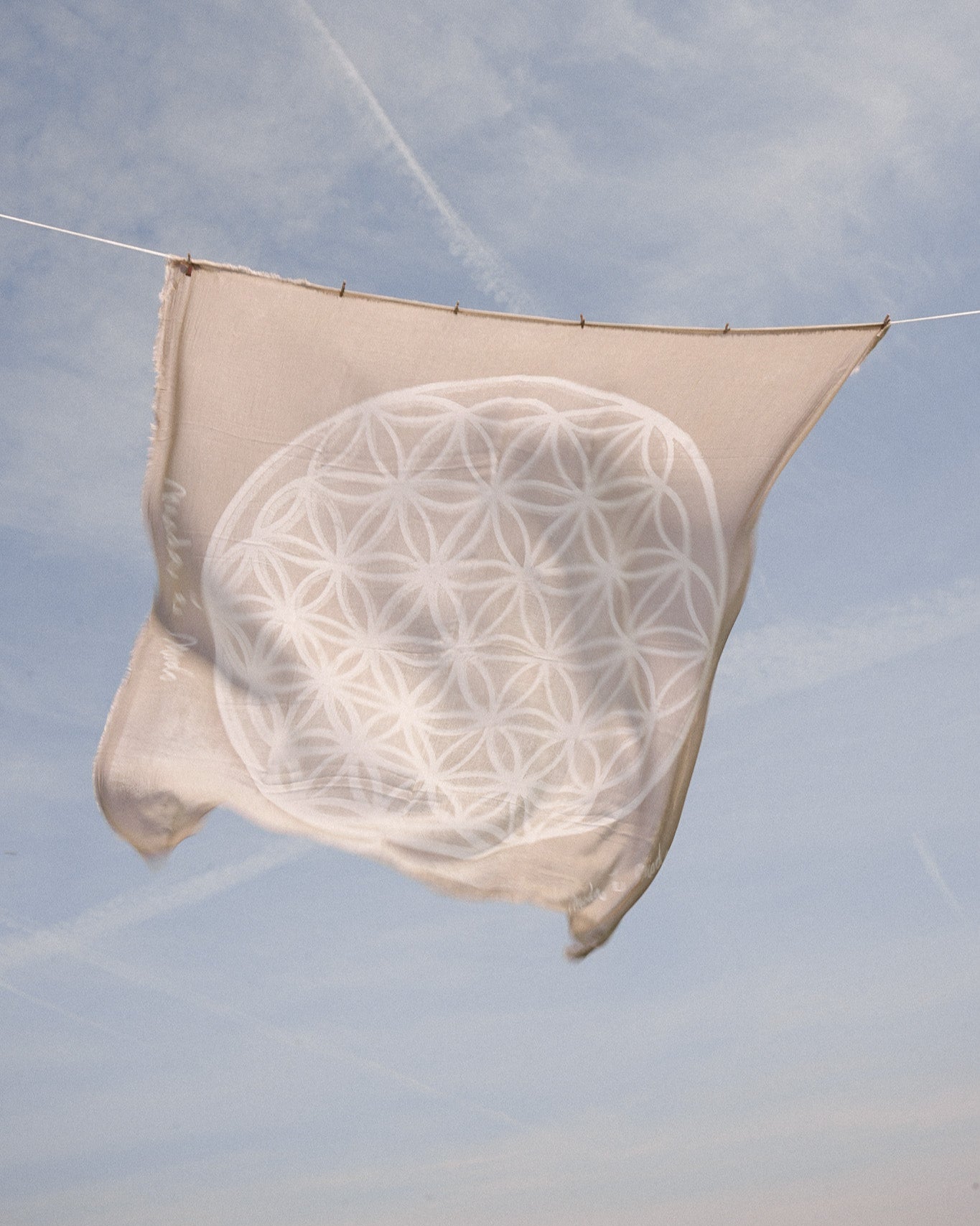 Schal Fiore della Vita Beige